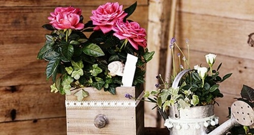 offrir des fleurs signification